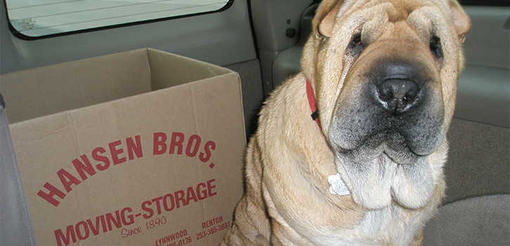 Image of a dog next to a Hansen Bros. cardboard box.