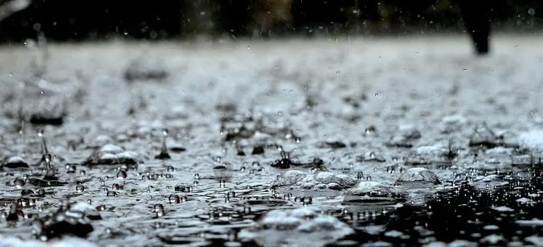 Rain.