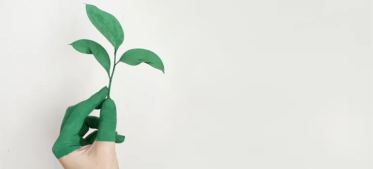 A hand with green fingers holding a plant