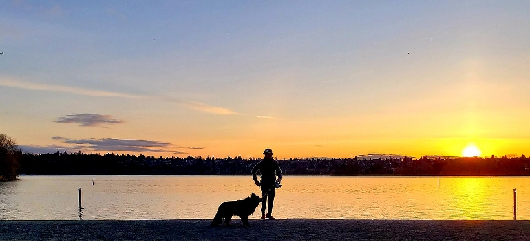 A man and a dog on a sunset