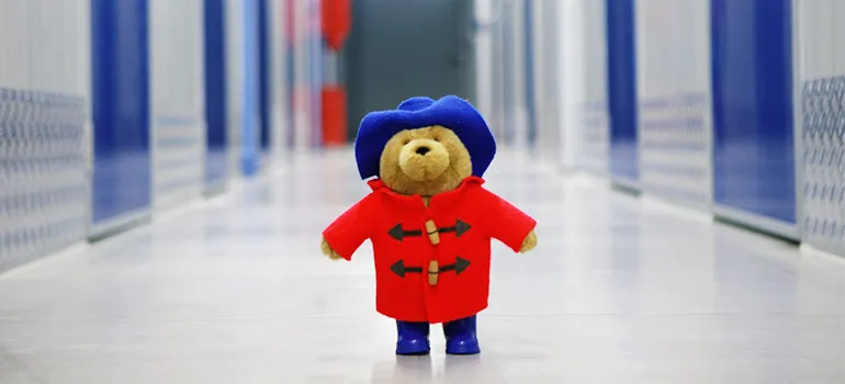 A toy in storage