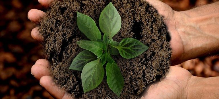 Hands holding some earth and a leaf.