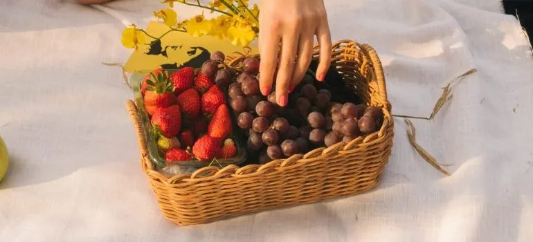 fruit basket