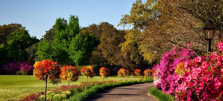 a blooming park