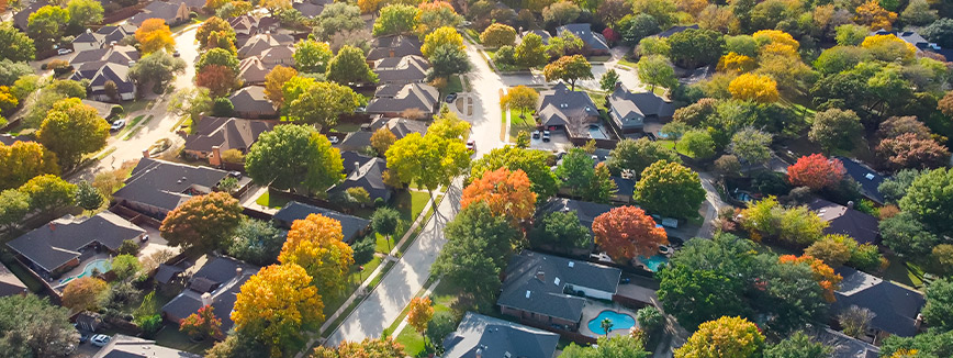 USA neighborhood. Green suburbs